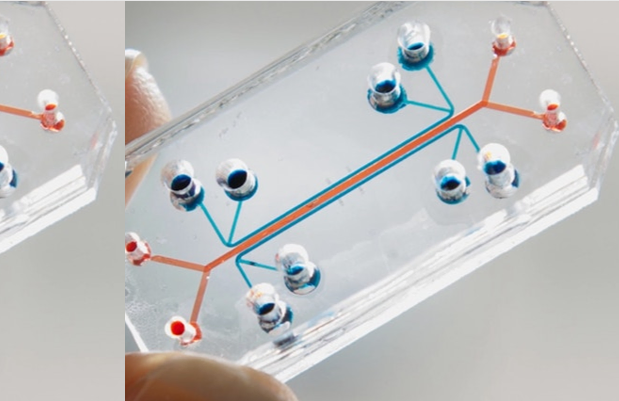 1671886386795056390.png QQ截图20221224205656.png