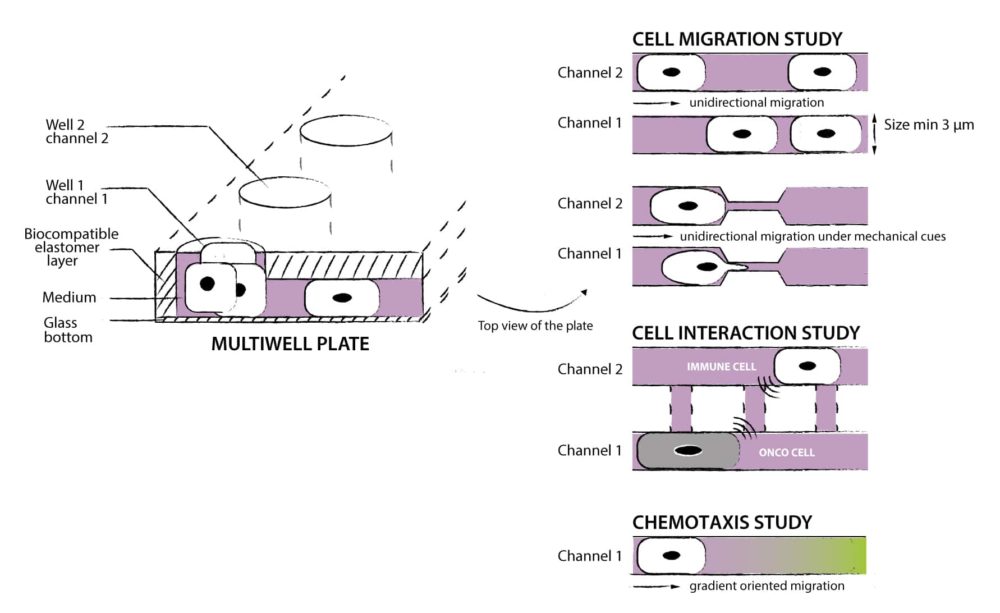 Schma-microcanaux-without-claims-without-FMP-2-1000x613.jpg