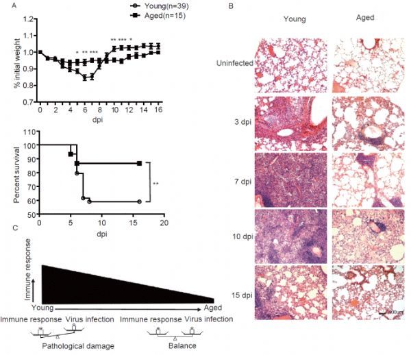 1502856943313988.jpeg wei.jpg