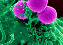 1516353462501766.jpeg gadgqer.jpg