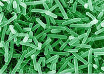 1583210307121722.jpeg afadgfj.jpg